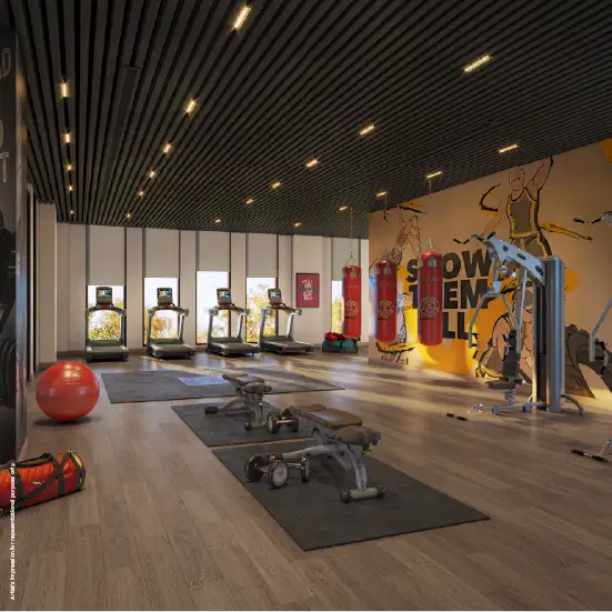 Modern Gymnasium